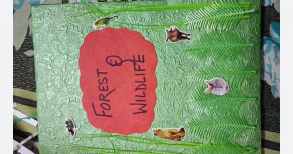 forest-and-wildlife-project-pdf-for-class-10th